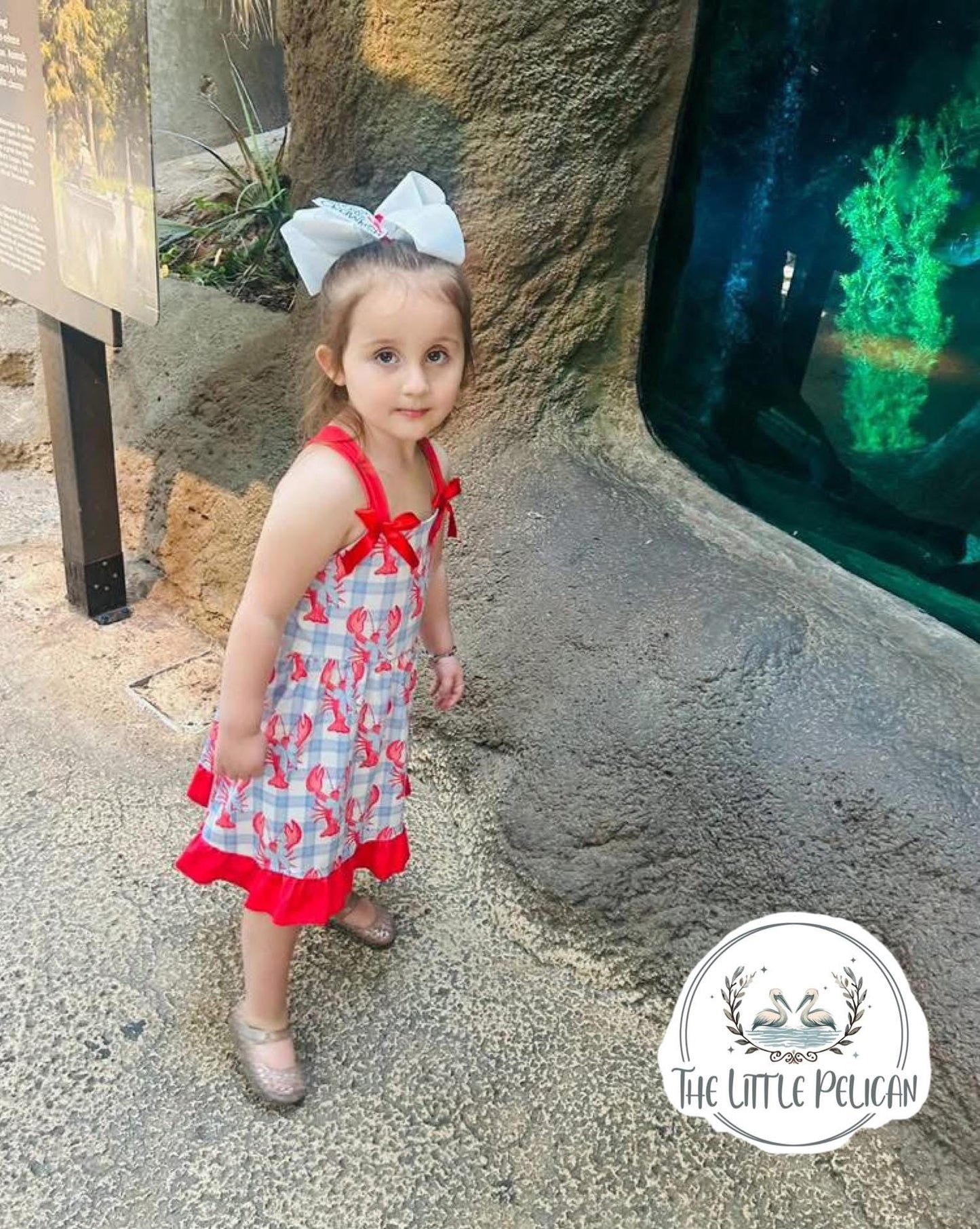 Blue Checkered Crawfish Dress